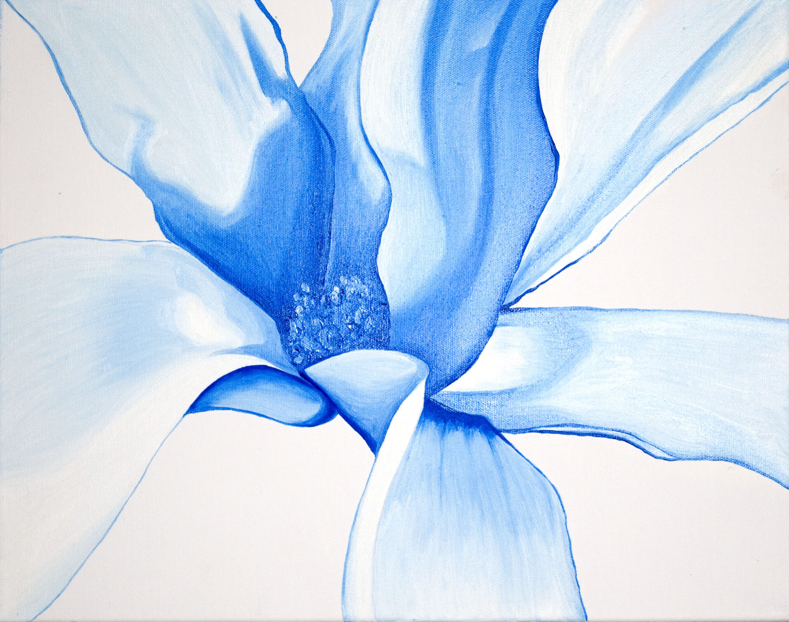 "Magnolia Flowers Part 1" Oil on stretched Canvas: studies of magnolia flowers; concentrating on light, shade and structure in a restricted colour palette of blues.