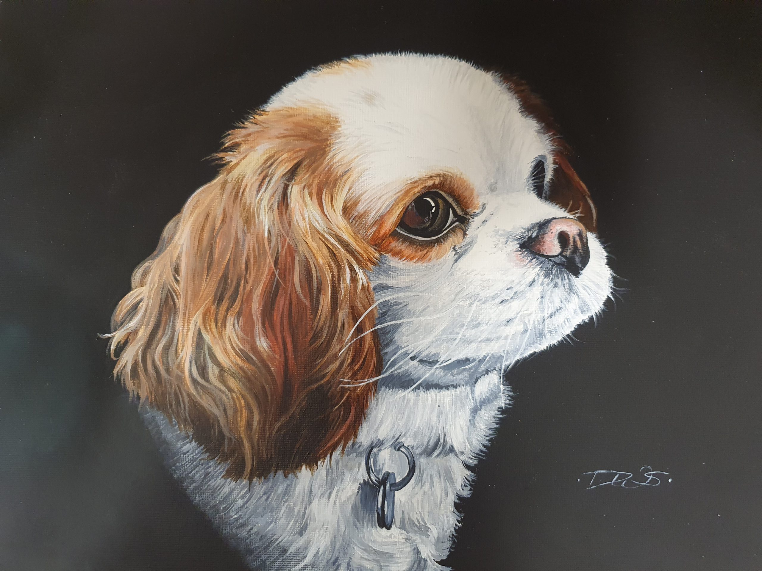 Painting commission by Dr Donna Winderbank-Scott - Caviler King Charles Spaniel, Acrylic on Board 2020