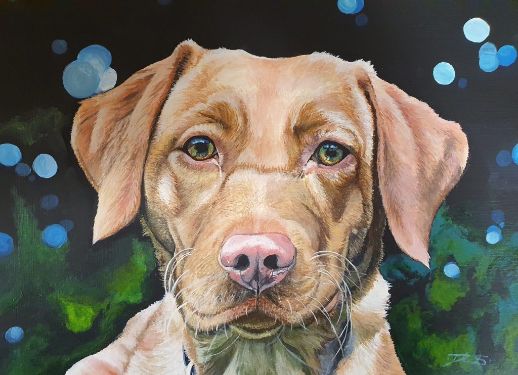 Painting commission by Dr Donna Winderbank-Scott - “Roxie”, Fox Red Labrador, Acrylic on Board, 2020